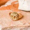 Aries Stargazer Zodiac Ring