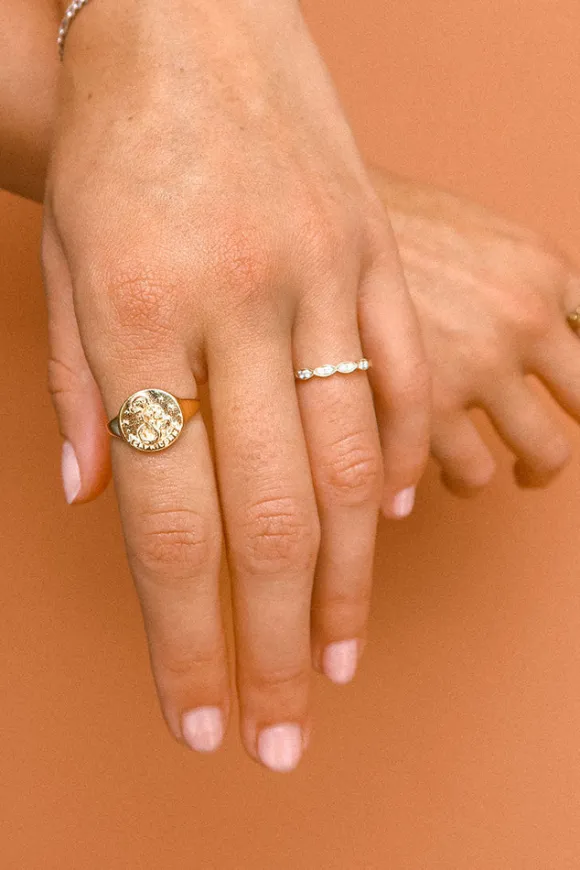 Capricorn Stargazer Zodiac Ring