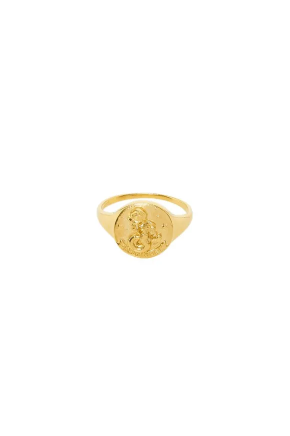 Capricorn Stargazer Zodiac Ring