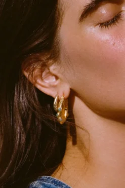 Desert Flower Stone Earrings