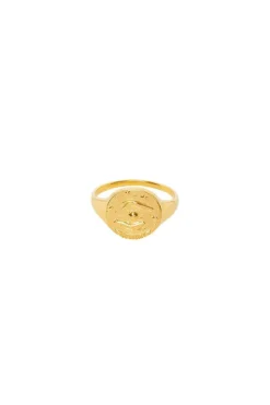 Gemini Stargazer Zodiac Ring