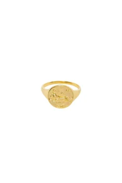 Leo Stargazer Zodiac Ring