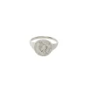 Pisces Stargazer Zodiac Ring