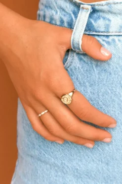 Pisces Stargazer Zodiac Ring