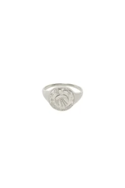 Sagittarius Stargazer Zodiac Ring