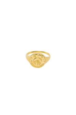 Sagittarius Stargazer Zodiac Ring